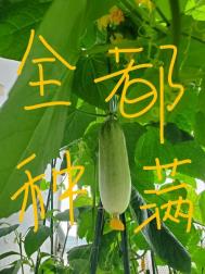 当你孤单你会想起谁歌词